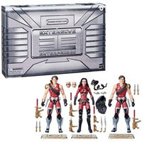 Crimson Strike Team Baroness Tomax Xamot action figure