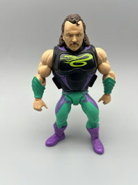 Jake The Snake Roberts masters of the wwe universe action figures action figure