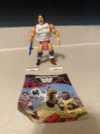 Rowdy Roddy Piper masters of the wwe universe action figures action figure