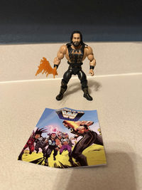 Seth Rollins masters of the wwe universe action figures action figure