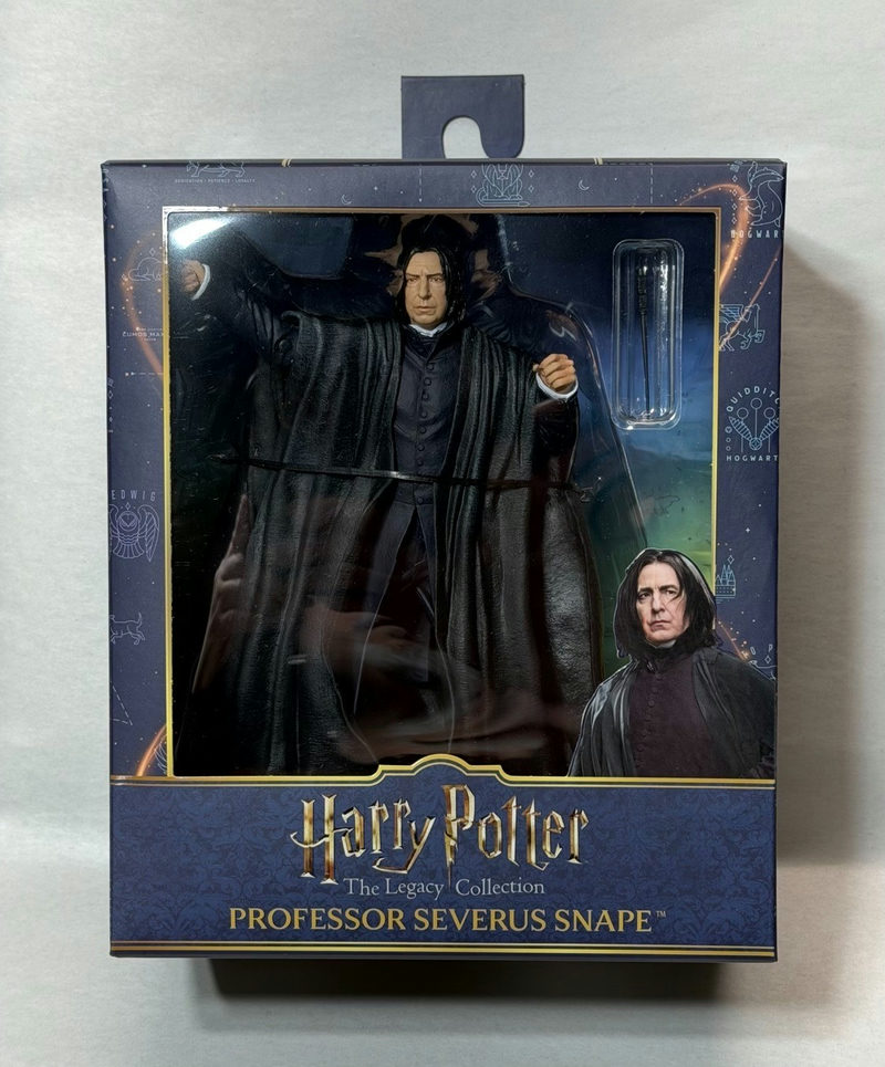 Harry Potter Legacy action figure