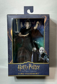 Voldemort action figure