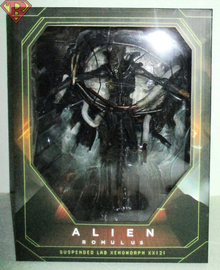 Suspended Lab Xenomorph