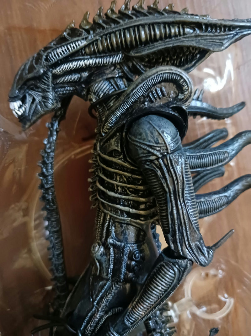 Alien Warrior General action figure