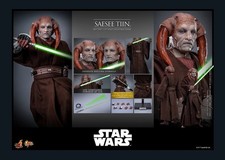 Saesee Tiin Hot Toys action figure