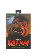Raphael As The Wolf Man action figure