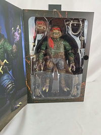 Raphael As The Wolfman action figure