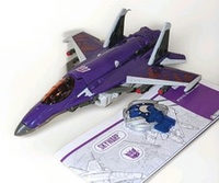 Skywarp (cybertron · 80286 Deluxe 2006) action figure