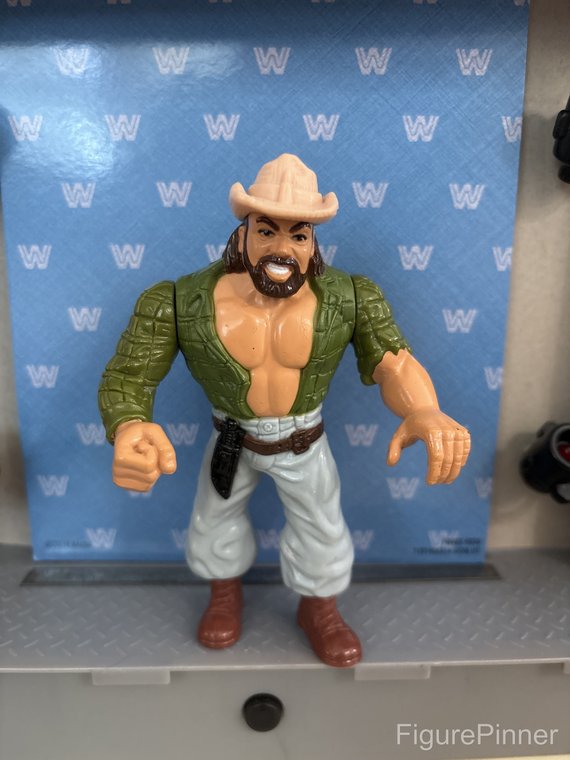 Skinner WWF Hasbro action figure