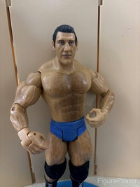 Bruno Sammartino (Classic Superstars Series 10) action figure