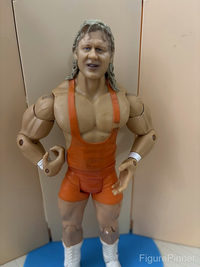 Mr. Perfect (Classic Superstars Series 10) action figure