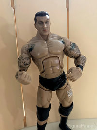 Randy Orton action figure