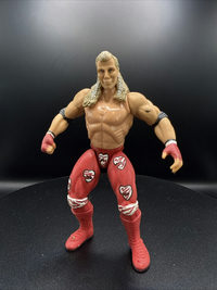 HBK (other Series 2) action figure