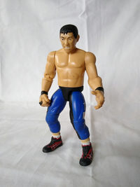 Taka Michinoku action figure