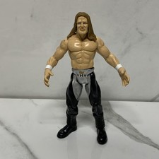 Triple H Titan Tron Live action figure