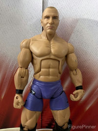 Desmond Wolfe action figure