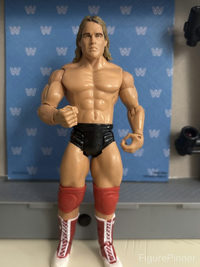 Terry Taylor action figure