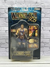 Rob Van Dam action figure