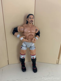 Petey Williams action figure