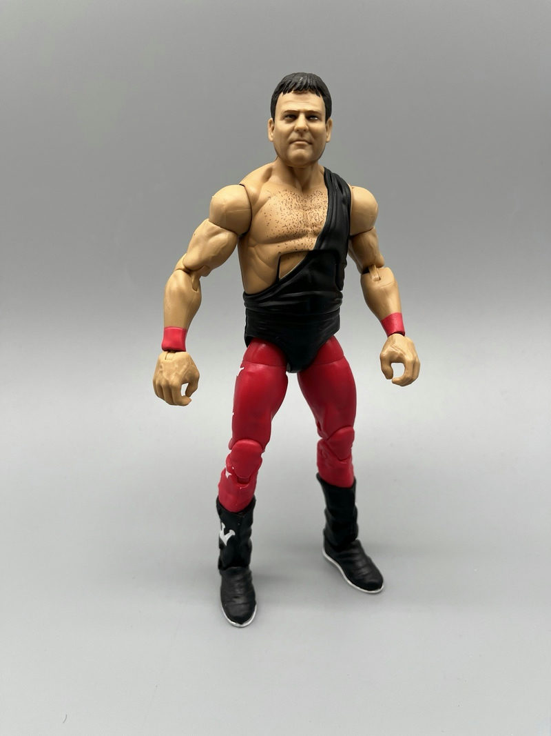 Jerry Lawler Elite Hall Of Fame action figure