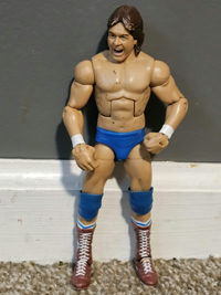 Roddy Piper action figure