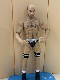 Cesaro action figure