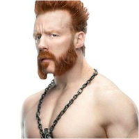 Sheamus action figure