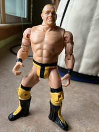 Shane Douglas (Large Head) (ECW Series 1) action figure